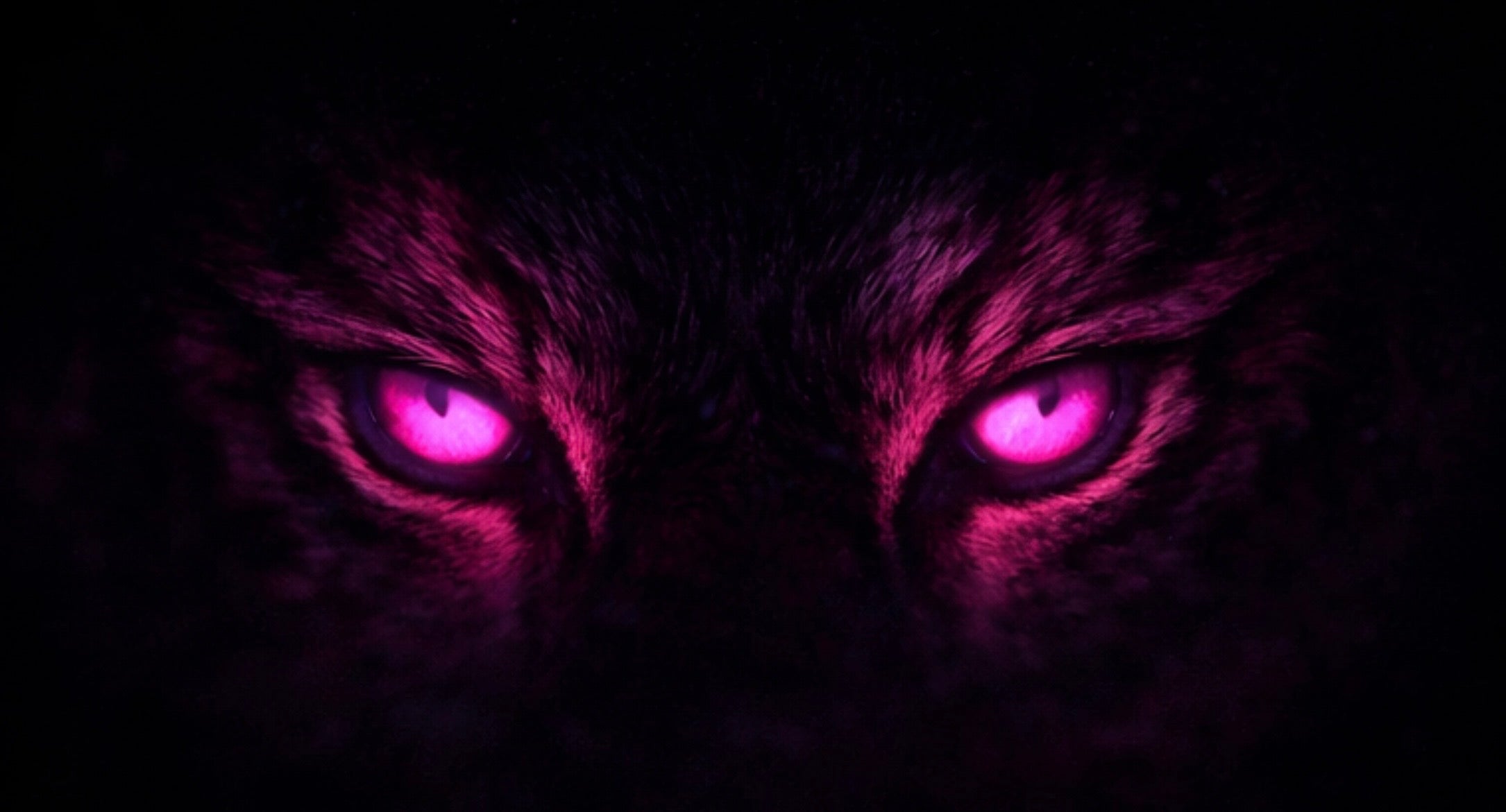 FiXY Wireless Earphones – Stay Wild